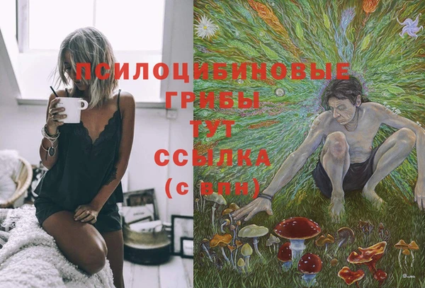 марки nbome Белокуриха
