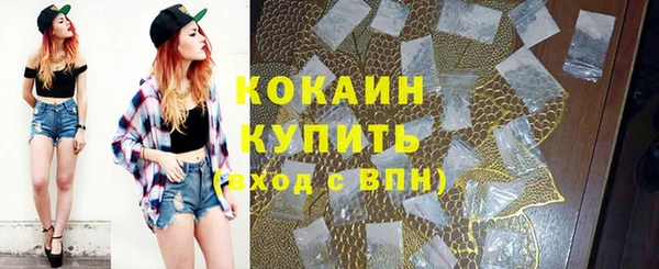 дмт Аркадак