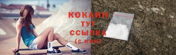 прущие крисы Арсеньев