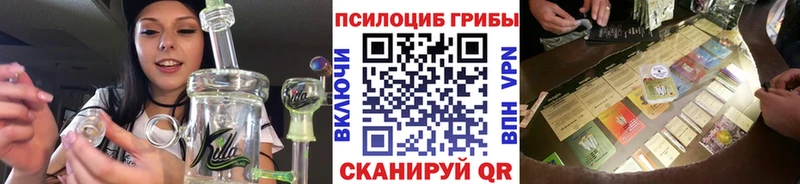 купить закладку  Белокуриха  Псилоцибиновые грибы MAGIC MUSHROOMS 
